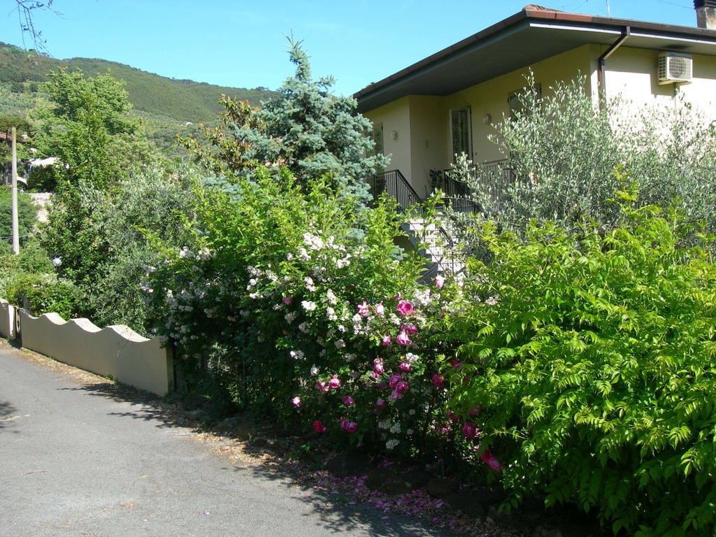 Gli Olivi Calci Room photo